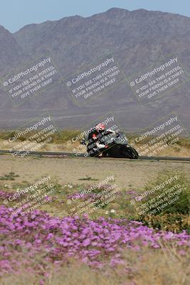 media/Feb-04-2023-SoCal Trackdays (Sat) [[8a776bf2c3]]/Turn 15 Inside Blooming (1050am)/